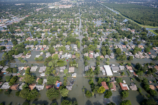 NMFS Relaxes Some Gulf IFQ and Dealer Reporting Rules in Wake of Hurricane Harvey